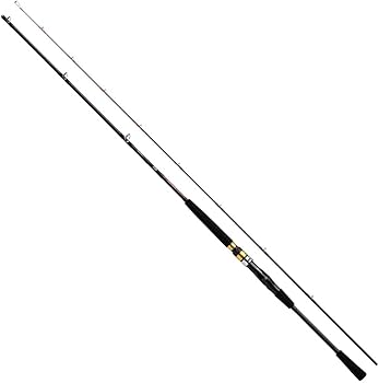 Amazon | ダイワ(DAIWA) 船竿 シーフレックス64 30-210・N